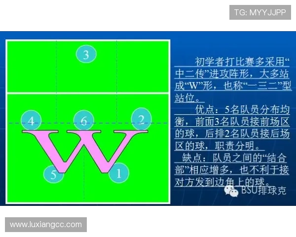 南京网球队整体压制打法解析与战术优势探讨 南京网球队整体压制打法解析与战术优势探讨