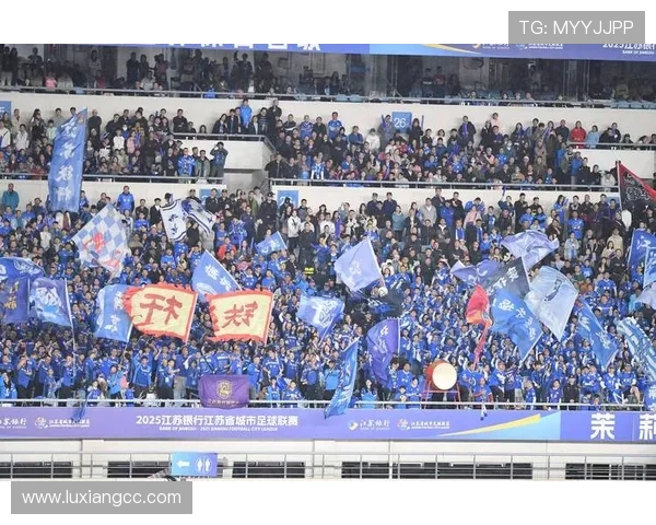 南京足球队整体压制策略分析及其对比赛结果的影响探讨 南京足球队整体压制策略分析及其对比赛结果的影响探讨