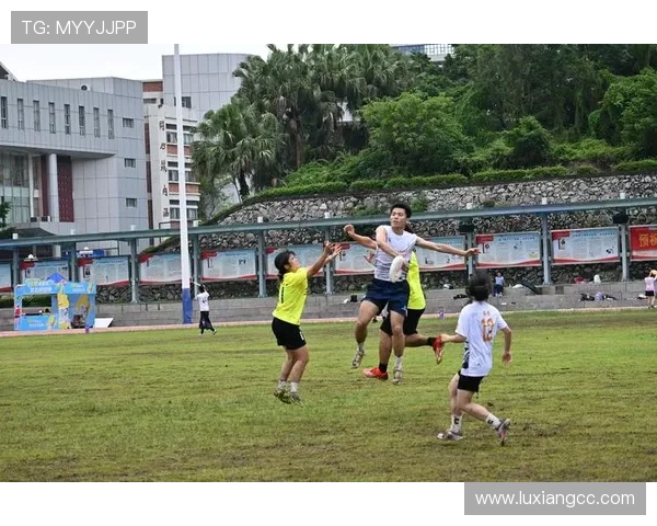 广州飞盘队与武汉飞盘队实力对比赛后分析与总结