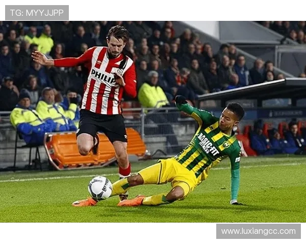 成都网球队区域防守战术解析与实践探讨