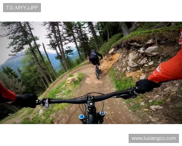 杭州极限运动队与广州极限运动队赛后复盘分析团队配合与战术执行