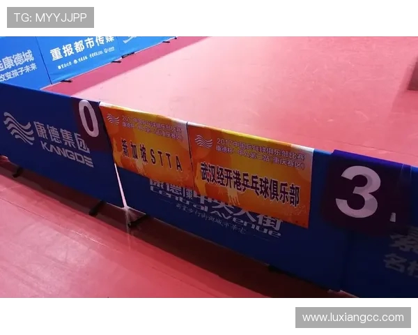 武汉乒乓球队的奋斗历程与荣耀时刻全景纪实