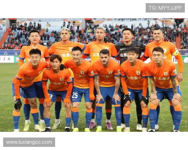 展望2026世界杯全球绿茵盛宴与足球未来新篇章辉煌征程全面解析