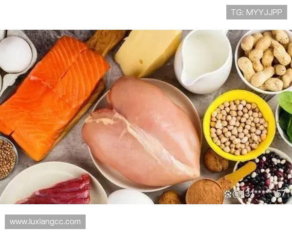 探索运动与健康的无缝连接：提升体能、减压、塑形与增强免疫力的全面指南