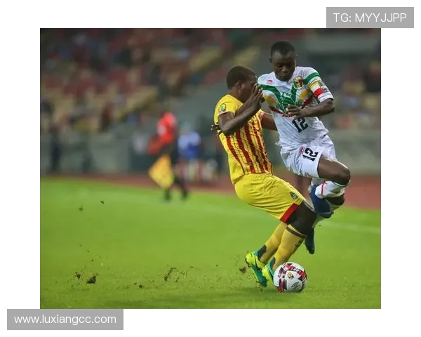 尼日利亚与津巴布韦激战在即谁将赢得这场非洲足球盛宴