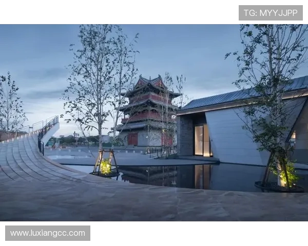 徐昕的艺术之旅：探索现代与传统交融的独特视角与创作理念
